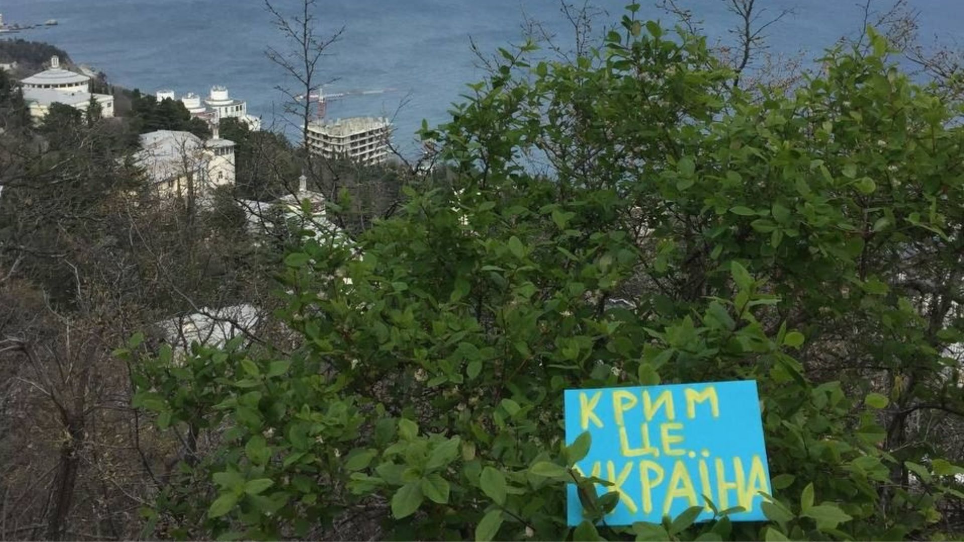На фото: Южный берег Крыма&nbsp;&nbsp;